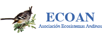 ECOAN