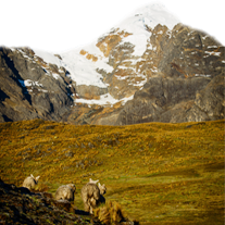 Wac'ay Huillqui Nevado Verónica